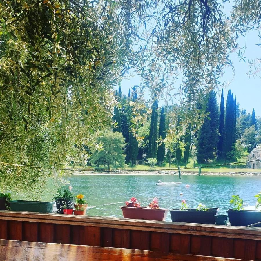 Tondo Apartment Tivat Bagian luar foto