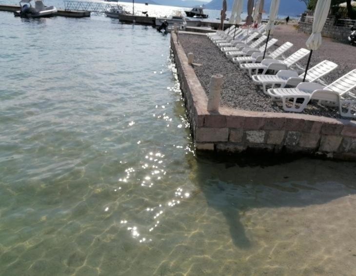 Tondo Apartment Tivat Bagian luar foto