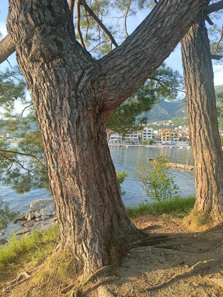 Tondo Apartment Tivat Bagian luar foto